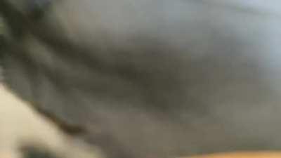 Illegally small yells and attack on my hair!