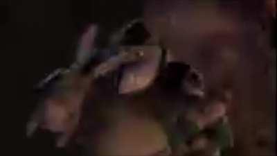 fuck it, a shrek gif