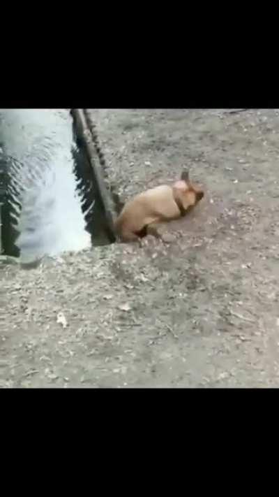 We all have that clumsy friend