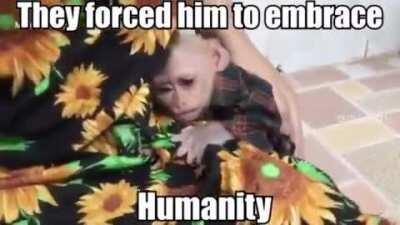 POOR MONKE😭😭😭