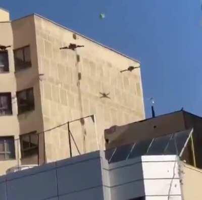 I SAW MY FELLOW HUMANS PLAYING THIS PONG GAME. IS THIS HOW WE DO IT???