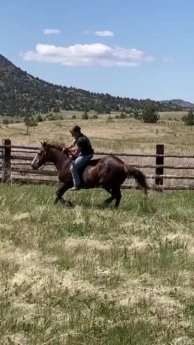 Poor guy hadn’t been ridden in almost a year.