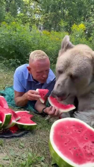Eating a watermelon together
