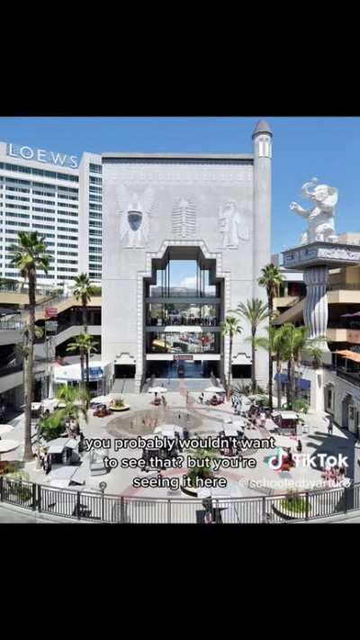 That "Everybody's So Creative!" lady but when she critisizes architecture.