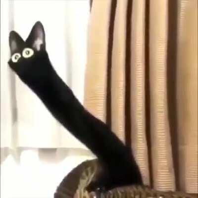 Posting SFW videos I found in NSFW Discord channels Day 46