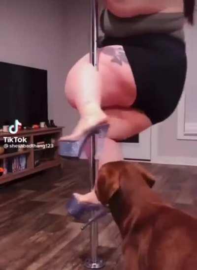 Real life roasted chicken