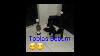 Top 10 Tobias (música sem dmca)