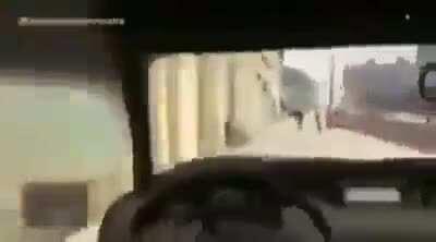 cinemadosmemes - Video #8804