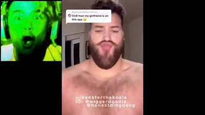 what the heck nigga turtles?