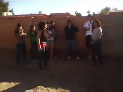 a true catfight with hair pulling, biting scratching