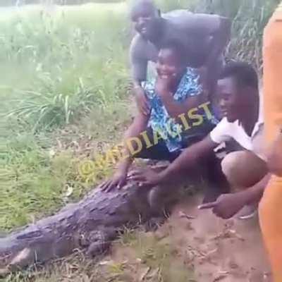 Everyone tried to take turns taking photos with this reptile (croc/alligator). He grew tired of it eventually.