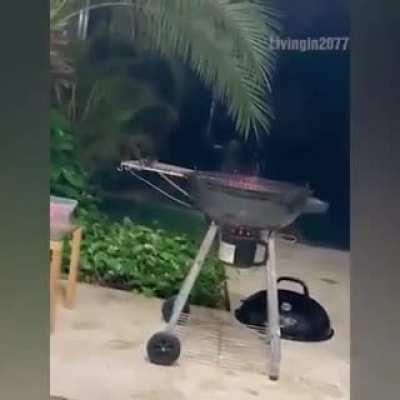 Almoço tá na mesa fml,sem escândalo ✌️🍃