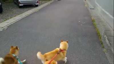 This braiding method is not the fastest, but it gets the job done.