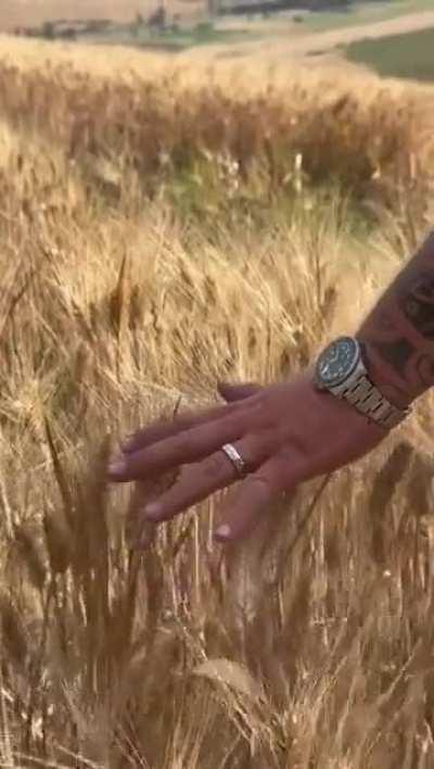 Men only want 1 thing