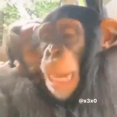 Que? Do.. donde esta?