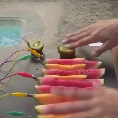 Musical Fruit 🍉🍎🥝🍍🍊🥭