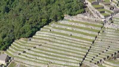 Climbing the 'Stairs of Death' at Huayna Picchu, Peru.