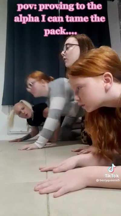 They're Back Again...