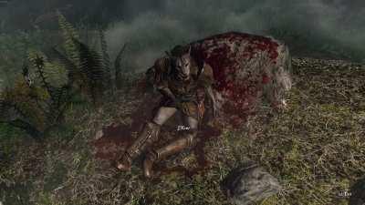 Ah yes, good old fashion skyrim