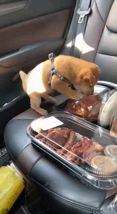 it's hard to look at food you can't eat