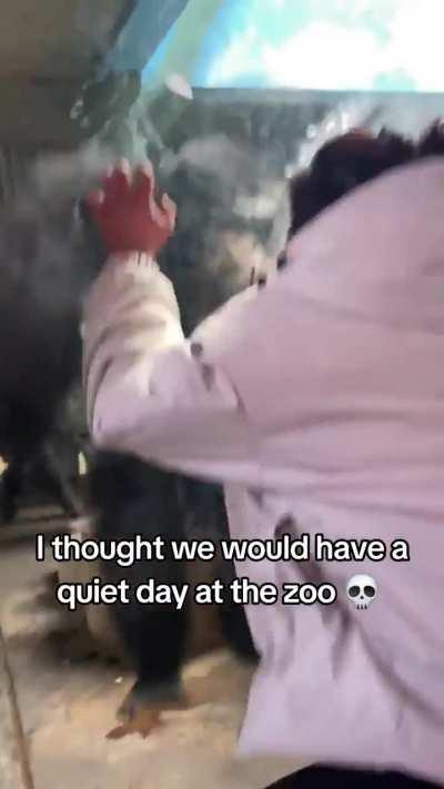 Don’t these animals suffer enough?