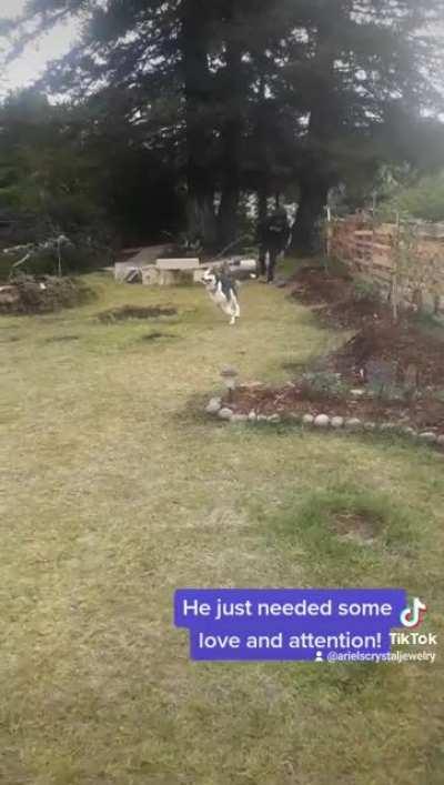 Behavioral transformation in just a few weeks!