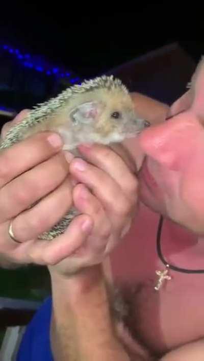 Like it never happened