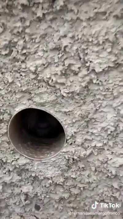 Gabriela go back inside