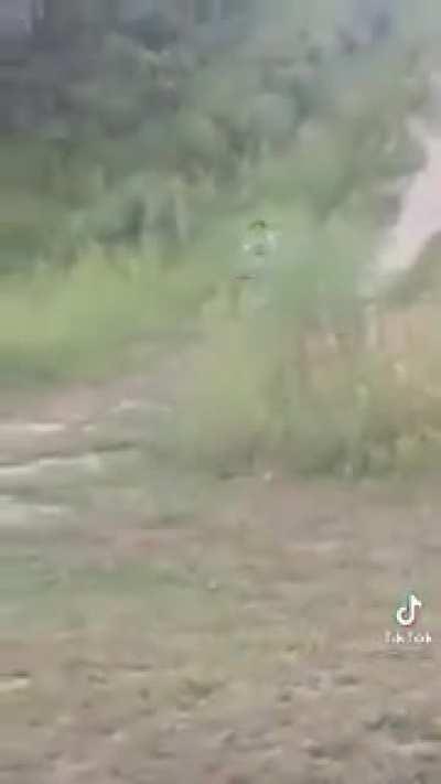 Don't do something you might regret