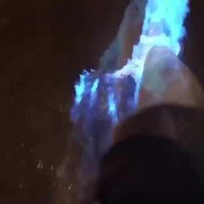 Walking through bioluminescence plankton