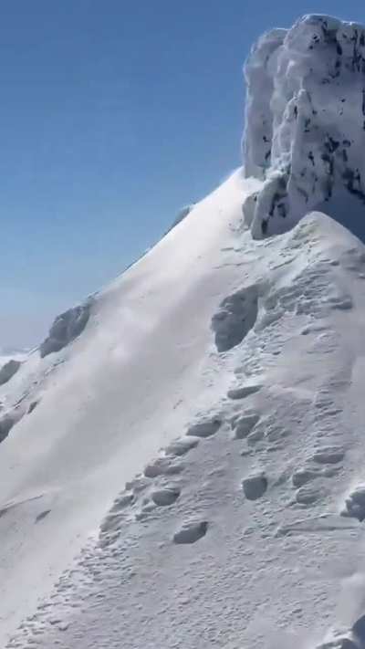 Massive brown bear spotted on top of an Alaskan high-altitude mountain