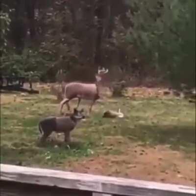 Oh... Ummm. I guess I'll go...