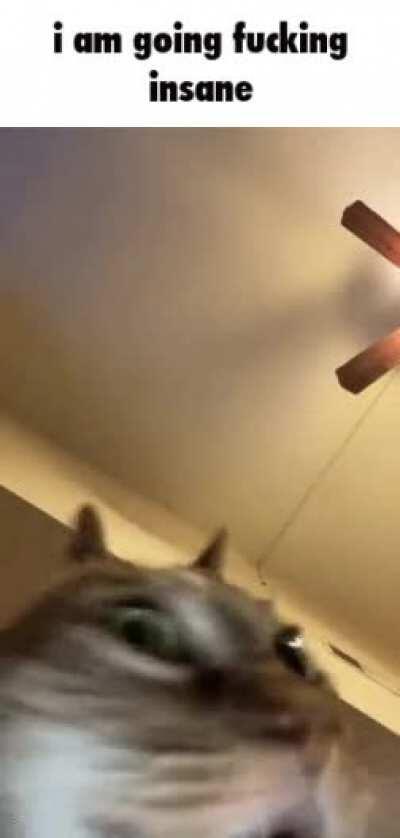 Every time I see a oval