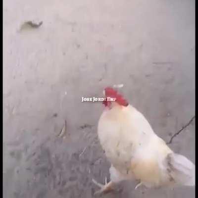 Usuario promedio de reddit xd