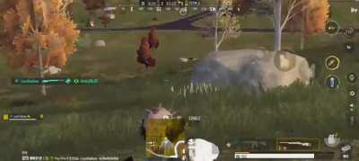 New State nailed sniping.