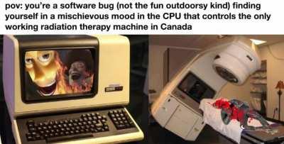 just a cute widdle buggy!!!!!! OwO sugoi