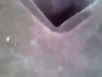 My hole people need me