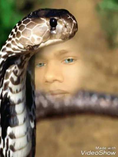 Why are what's app forward like this my aunty keeps sending me this type of shit every morning. Modi ji tik tok ban kar diya ab what's app bhi kardo. Note-this is a shit post now don't comment 