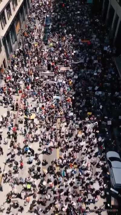 A sea of people march in downtown Los Angeles for No Kings protest