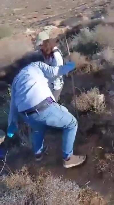 Scenes from Wadi Al-Hajj Issa, south of Aqraba: settlers, escorted by the occupation army, storm in and drive Palestinian families off their own land, assaulting them as they try to harvest olives.