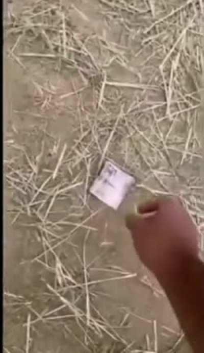 sus horse🤨🤨🤨🤨🤨