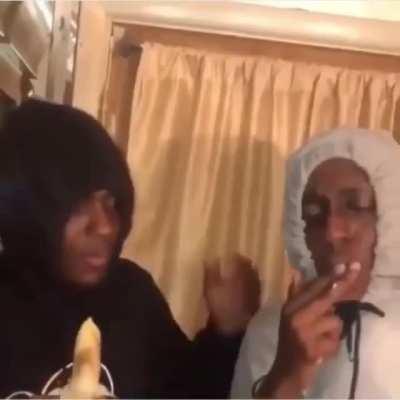 My brain while watching a badger video