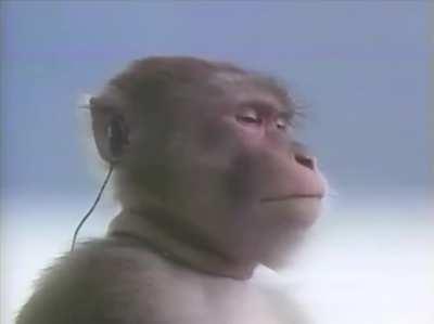 What’s your therapy song after you’ve had a tough week? Here’s mine 🌌