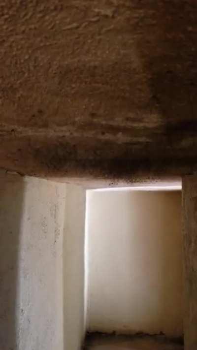 I think I came upon a spider dance party on the ceiling of an abandoned castle.