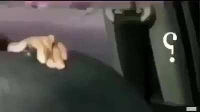 the funny cringe is the best type of cringe