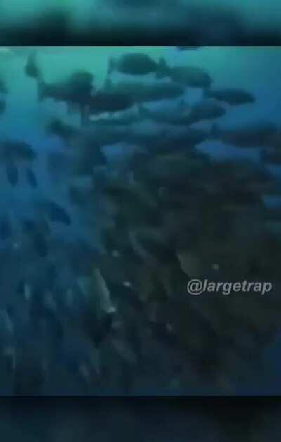 Hola, vengo a alegrarte el dia :)