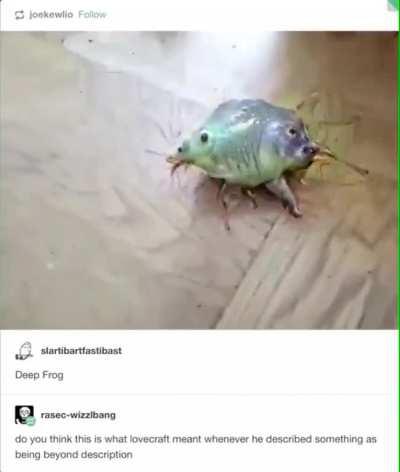 I found this on r/oddlyterriflying