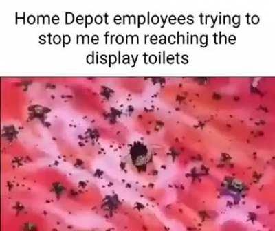 It’s my destiny to shit in the display toilets come at me!!!