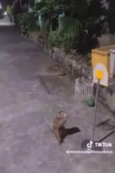 Mom said it's my turn to repost rule