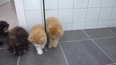 Learning to hunt bugs with the help of a tiny robot